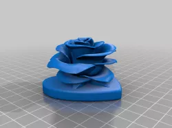 rose heart