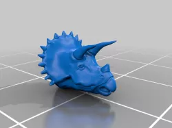 Triceratops head