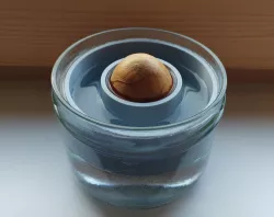 AvoBoat for one Avocado Seed