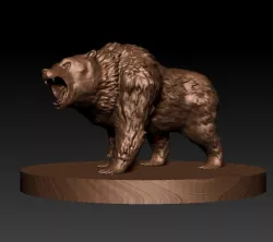 brown bear