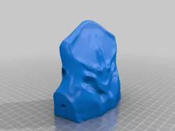 Complete Hammerhead Skull