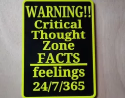 Critical Thought Zone