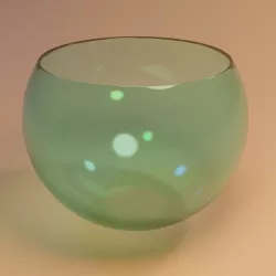 Fish Bowl 