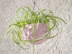 Geodesic Hanging Planter Pot
