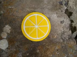 Lemon slice