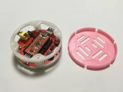 ORANGE-RISC bumper