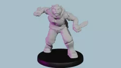 Pahtra Operative