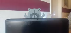 Racoon middlefinger