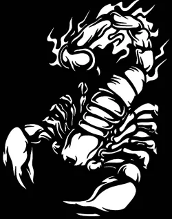 Scorpion stencil 12