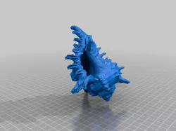 Seashell 3d Scan