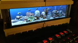 The Rockpiquarium