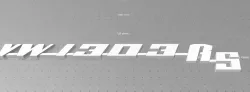 Volkswagen Beetle1303RS badge