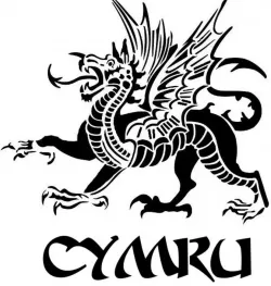 Wales dragon stencil