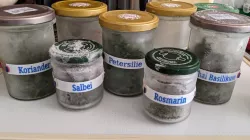 Customizable Frozen Herbs Label