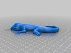 Lizard
