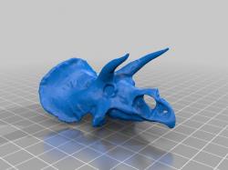 triceratops skull 3d models 【 STLFinder