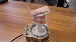 3D Motorized - Rotating TEETH Display