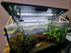 Aquarium Lid Support
