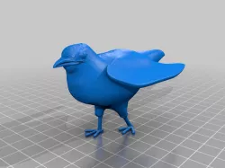 cocoo kuckuck