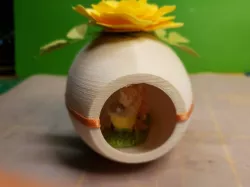 Egg - lateral