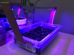Growlight Planter Attachment
