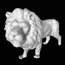 Lion（generate by POP）