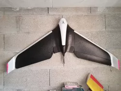 Parrot Disco hook