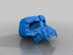 Skull of Gul'Dan