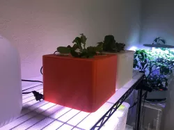 Ultimate Desktop Hydroponic Garden