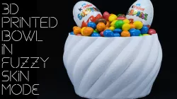 3D printed BOWL with Fuzzy Skin Function