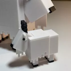 Baby Goat (Minecraft)