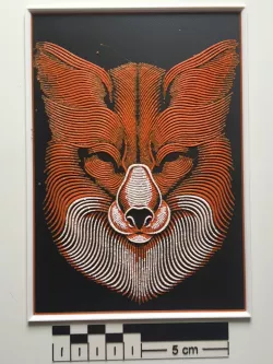 Fox Face - Patrick Seymour