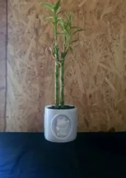 Lucky Cat Planter Pot