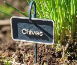 Plant labels