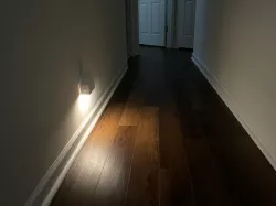 Plug-In Motion Sensing Night Light