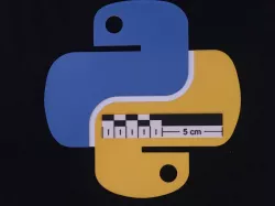 Python Logo 2D