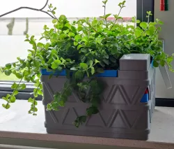 Self Watering Planter