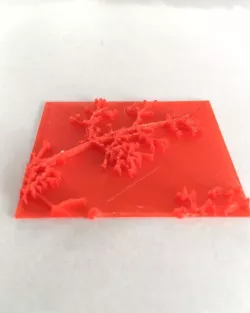soap stamp from photo