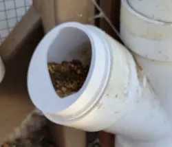 Stop feed spill for 3" PVC chicken feeder