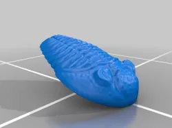 Trilobite for Sand Casting │ Metal Casting │ Concrete Casting