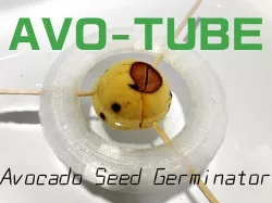 AVO-TUBE: Avocado seed germinator