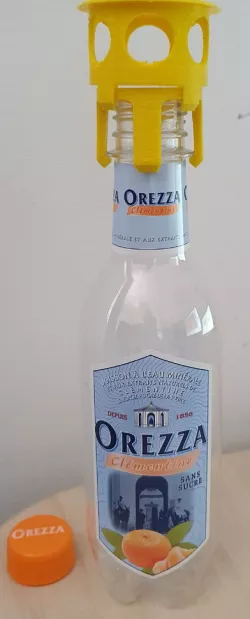 Bottle Wasp Trap