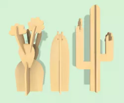 Cactus