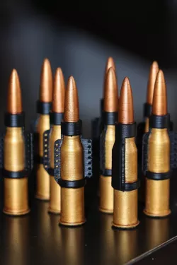 Dummy 7.62x54R round