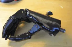 Fusion Hand