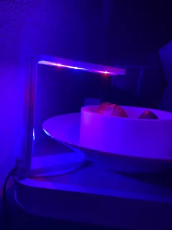Futuristic small LED lamp