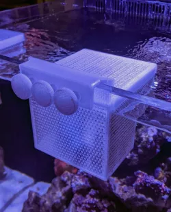 Hang on Aquarium Isolation Basket - One Wall Mounting