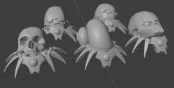 Hermit Scarabs