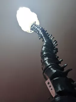 Hollow brain - lamp shade