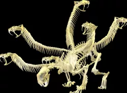 Kamadan Skeleton